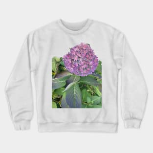 Hydrangea Crewneck Sweatshirt